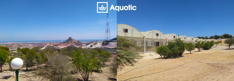 Sir Bani Yas Island Panoramica